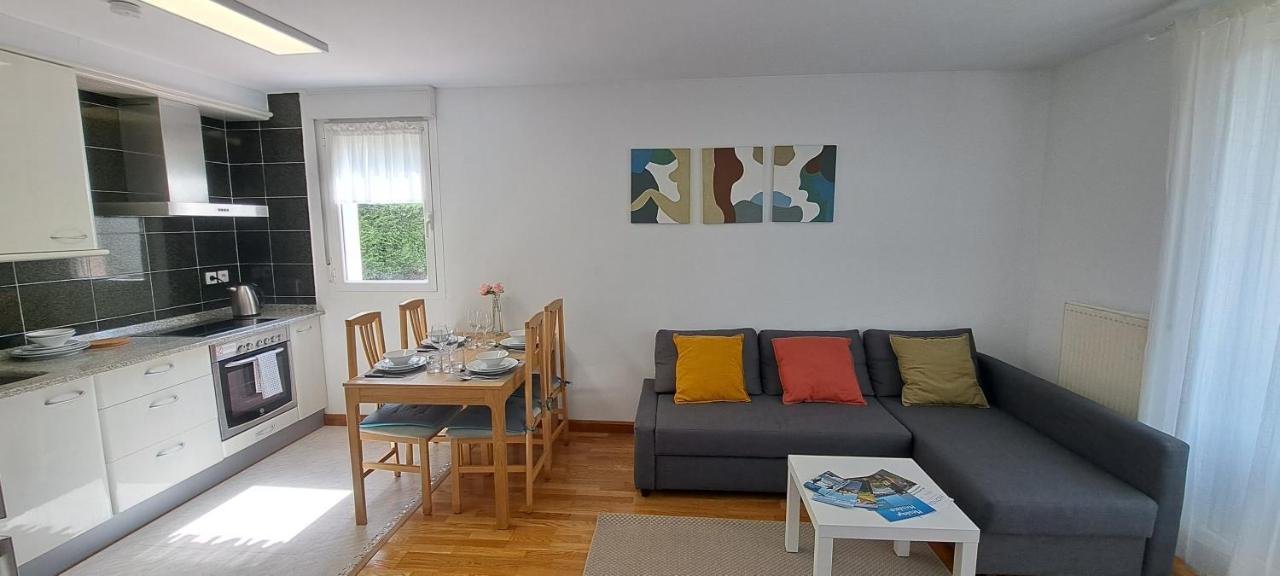 Appartement Lumineux T3 Avec Jardin Privatif A Hendaye - Parking Et Wif Gratuit Exterior photo
